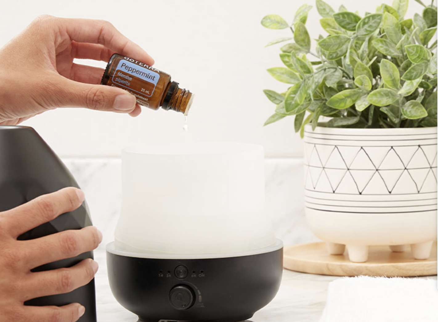 Screenshot 2025-10-07 at 4.19.44 PM essential oils